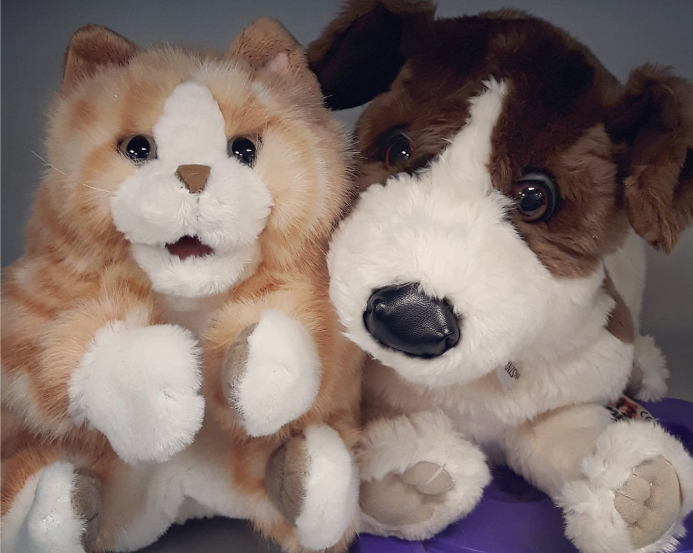 A Library Friend Bag