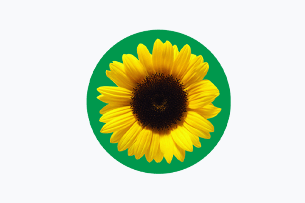 Hidden Disabilities Sunflower – A Symbol of Support and Inclusion
