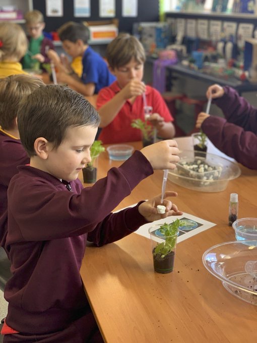 Term 3 School Holidays in the Library: Terrariums with Einsteins Australia